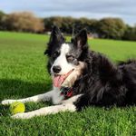 Sharon Leighton - @sharon_leighton - Instagram