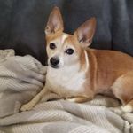 Sharon Leiter Sinning - @sinning21 - Instagram