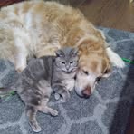 Sharon Lemay - Facebook