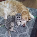 Sharon Lemay - @thedudeisjude09 - Instagram
