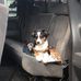 Sharon Lentz - Facebook