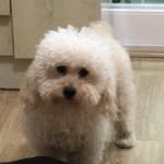 Shari - @sharonlerman9 - Instagram