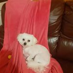 sharonleyden - @sharonleyden6 - Instagram