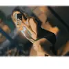 Sharonlezama - @sharonlezama3 - TikTok