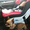 Sharon Licata - @sharonlicata - TikTok