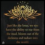 Sharon Liebman - @liebsliebs - Instagram
