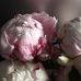Sharon Welch Liebman - Facebook