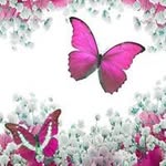 Sharon Lilly - @sharonlilly5066 - Instagram