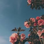 Sharon lilly - @_sharonlilly - Instagram