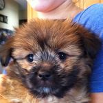Sharon Ambrose Lindquist - @lindquist8856 - Instagram