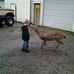 Sharon Linkous - Facebook