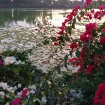 Sharon Linkous - @linkous9022 - Instagram