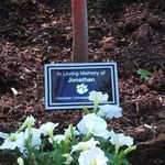 Sharon Littlejohn - @sharonlittlejohn57 - Instagram
