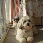 Sharon Hess Lobb - @lobbsharonhess - Instagram