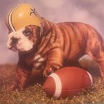 Sharon Longworth Yeager - @longworthyeager - Instagram