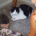 Sharon Looper - @slooper1962 - Instagram