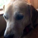 Sharon Loranger - @sharonlonranger - Instagram
