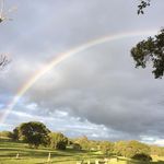 Sharon Cahill Loring - @shazza_loring - Instagram