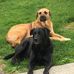 Sharon Harris Lowell - Facebook
