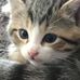 Sharon Lowell - Facebook