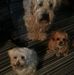 Sharon Ludwick - Facebook
