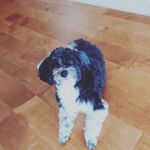 Sharon Lukas - @sharonluka7 - Instagram