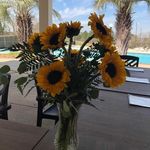 Sharon Lukas Owens - @sharon.l.owens1 - Instagram