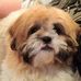 Sharon Lumb - Facebook