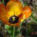 Sharon Lundquist - Facebook
