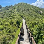 Sharon Lung - @sharon.lung.54 - Instagram