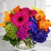 Sharon Lunn - Facebook