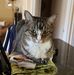 Sharon Lunn - Facebook