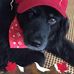 Sharon Yetman-lunn - Facebook
