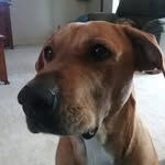 Sharon Luntsford - @sharonluntsford - Instagram