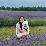 Sharon Luo - @sharonluo - Instagram