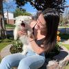 Sharon Luo - @sharonluo - TikTok
