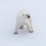 Sharon Godden - @sharon_luxebyitravel - Instagram