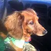 Sharon L Wilford - @sharon.l.wilford - TikTok