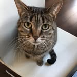 Sharon - @sharon.lwilson - Instagram