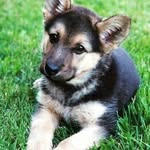 molly ann sharon lydon - @mollyannsharon - Instagram