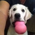 Sharon Lytle - @sharon.lytle - Instagram