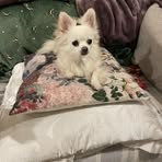 Sharon Macaulay - Facebook