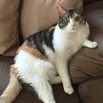 Sharon Bisque MacDonell - @harrymac2020 - Instagram