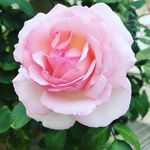 SHARON MACIAS - @sharonmac23 - Instagram