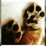 Sharon_Macias - @sharon_macias_10 - Instagram