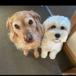 Sharon Mackenzie - @shazab02 - Instagram