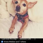 Sharon MacKenzie - @sharonmackenzie7 - Instagram