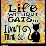 Sharon Mackenzie - @sharonmackenzie900 - Instagram