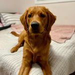 Sharon Mackey - @sharon_mackey - Instagram