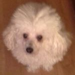 Sharon Mackey - @mackey6848 - Instagram